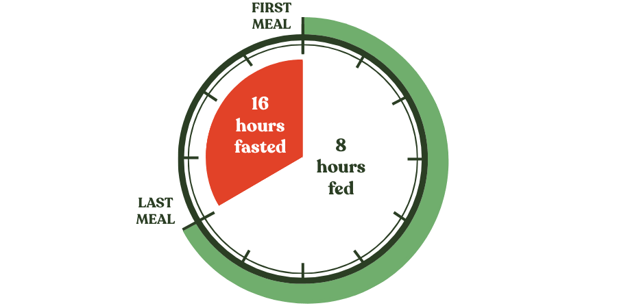 16:8 intermittent fasting chart showing fasting and eating windows for beginners