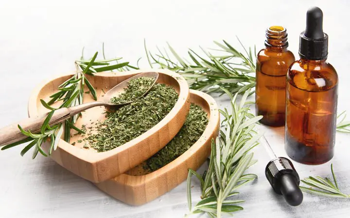 Collection of the best natural oils for hair growth including coconut, castor, rosemary, argan, almond, olive, and jojoba oil