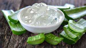 Fresh aloe vera gel applied on face for open pores